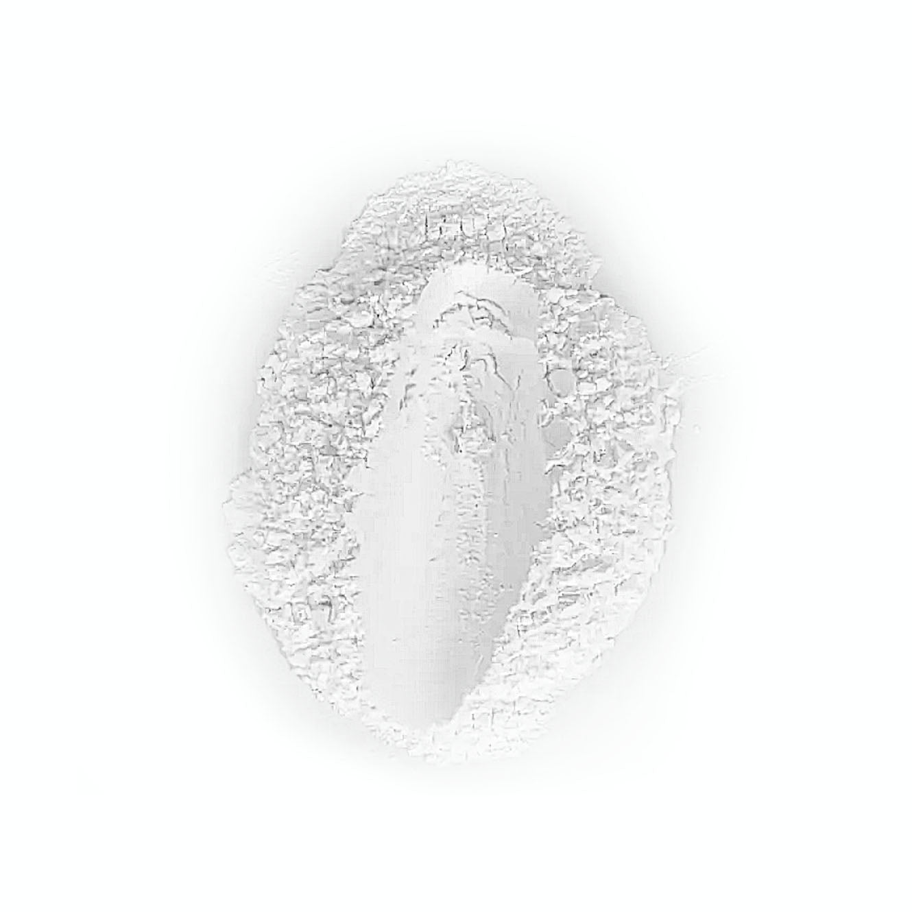 Office Bright and Translucent Loose Powder AB